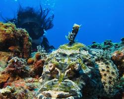 zploštělec Beaufortův - Cymbacephalus beauforti - Beautford's Crocodilefish